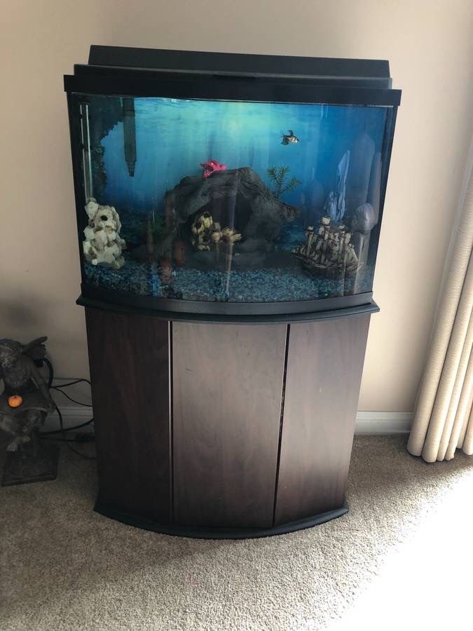 36 Gallon Bowfront Aquarium w Complete Setup