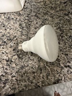 BR30 LED Light Bulb