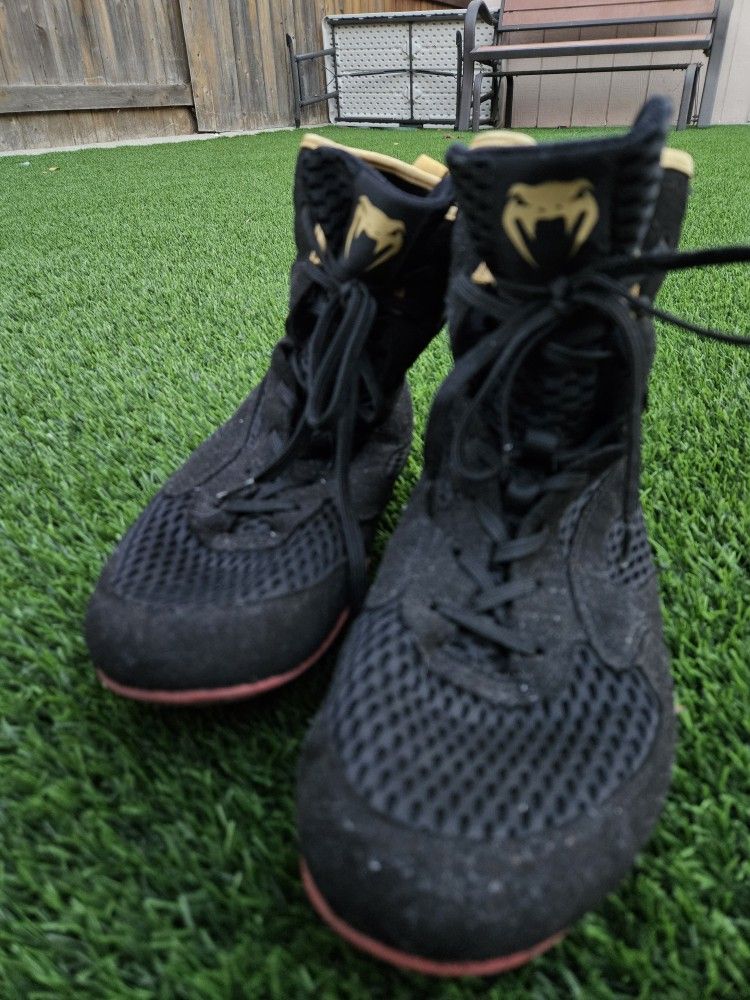 Venum Boxing Shoes