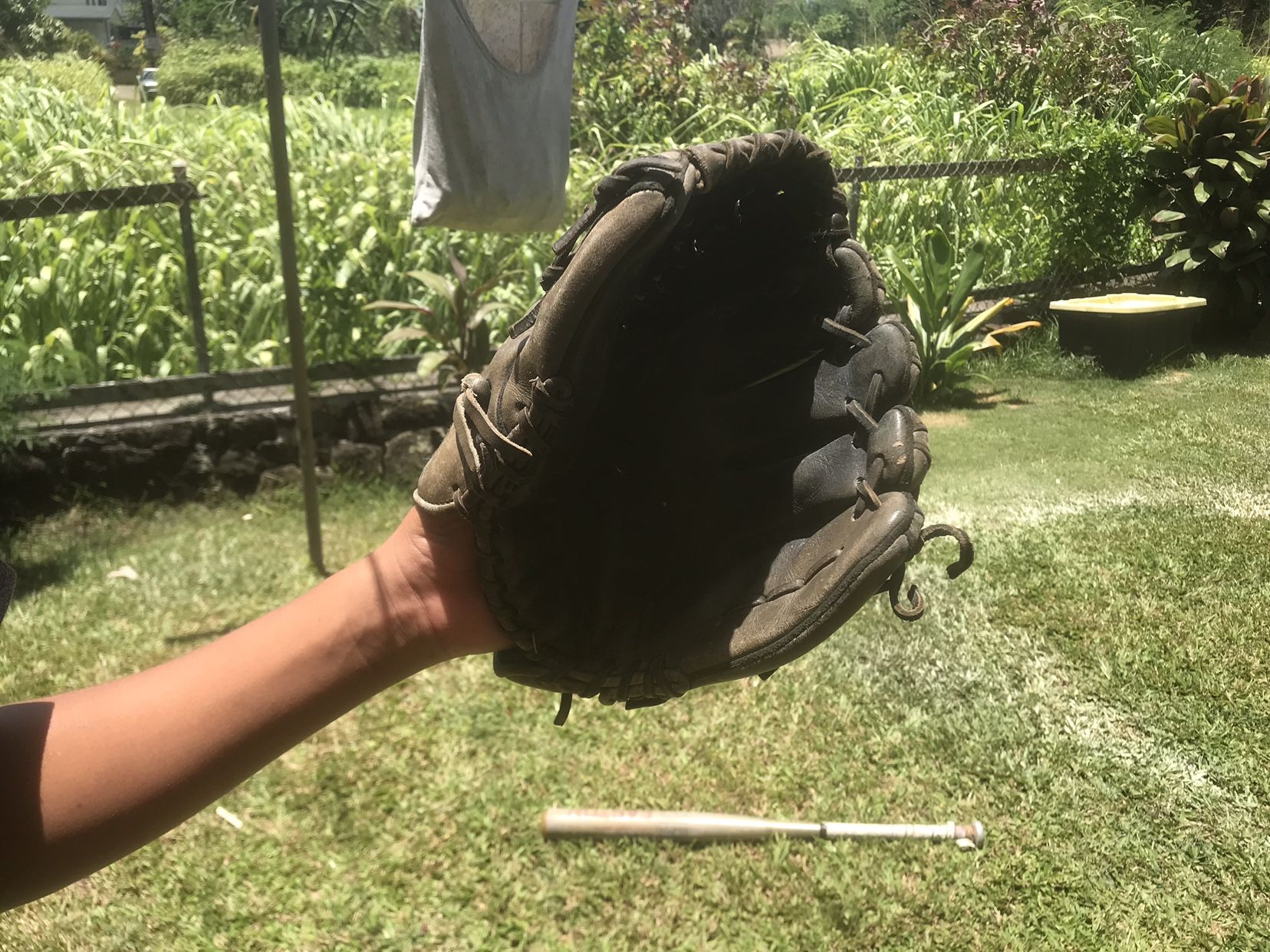 Baseball Glove