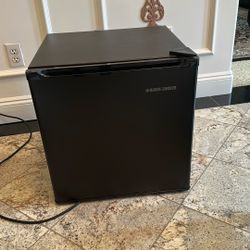 Mini Fridge
