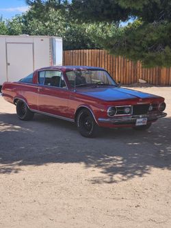 Barracuda