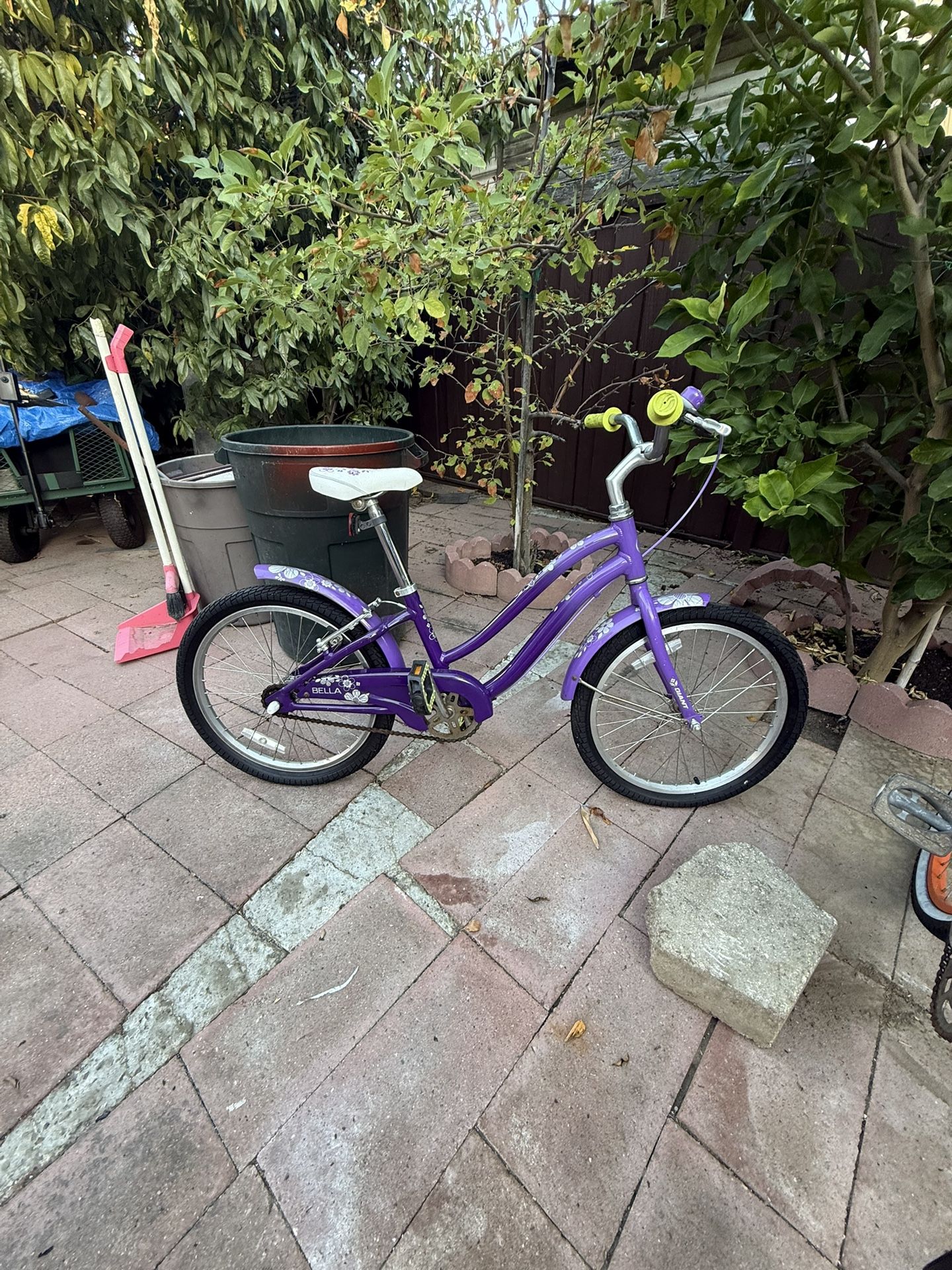 Giant Brand Girl Bike 