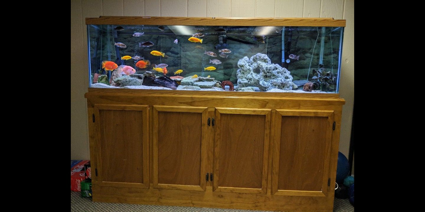 125 Gallon Aquarium and Custom Built Stand for Sale in Glendale Heights