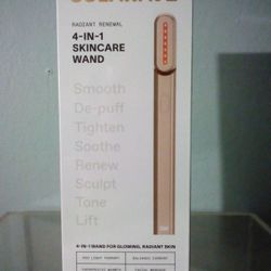 4 In 1 Skincare Wand