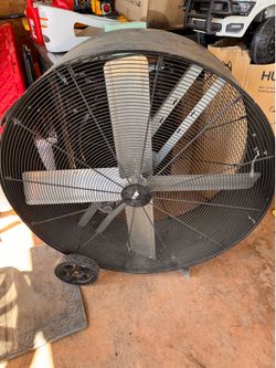 Big fan