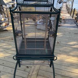 Bird Cage