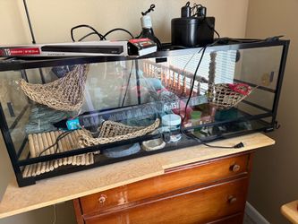 Reptile enclosure
