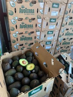 Avocado 🥑 $30 Box