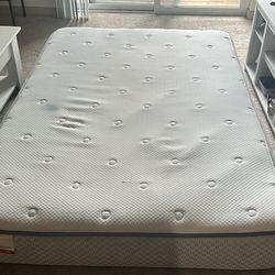 Sealy 8" Medium-Firm Innerspring Bed in a Box, Full Mattress