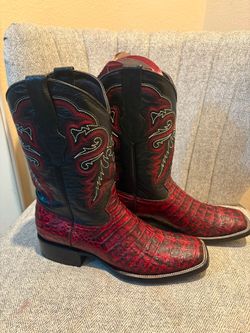Black cherry crocodile