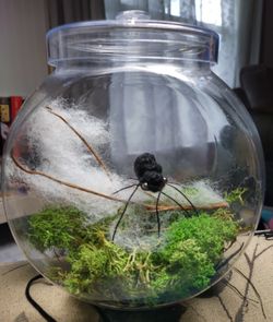 Crochet Spider In Terrarium