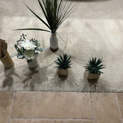 Fake Plants 