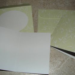 250 Brand NEW Sets of 12 Cards Envelope Great Wedding Party Favor Gift

