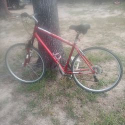 Diamondback Kalamar Bicycle