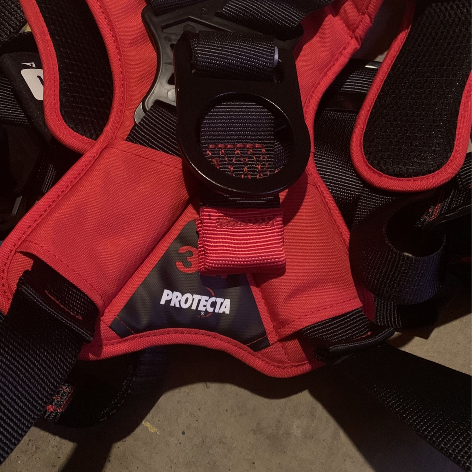 Harness