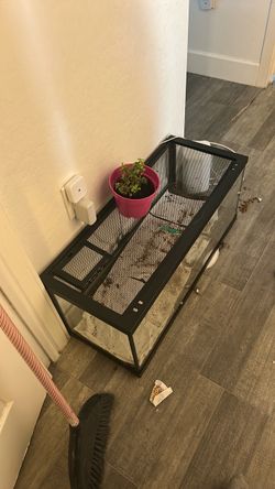 Glass Reptile Tank with Mesh Lid
