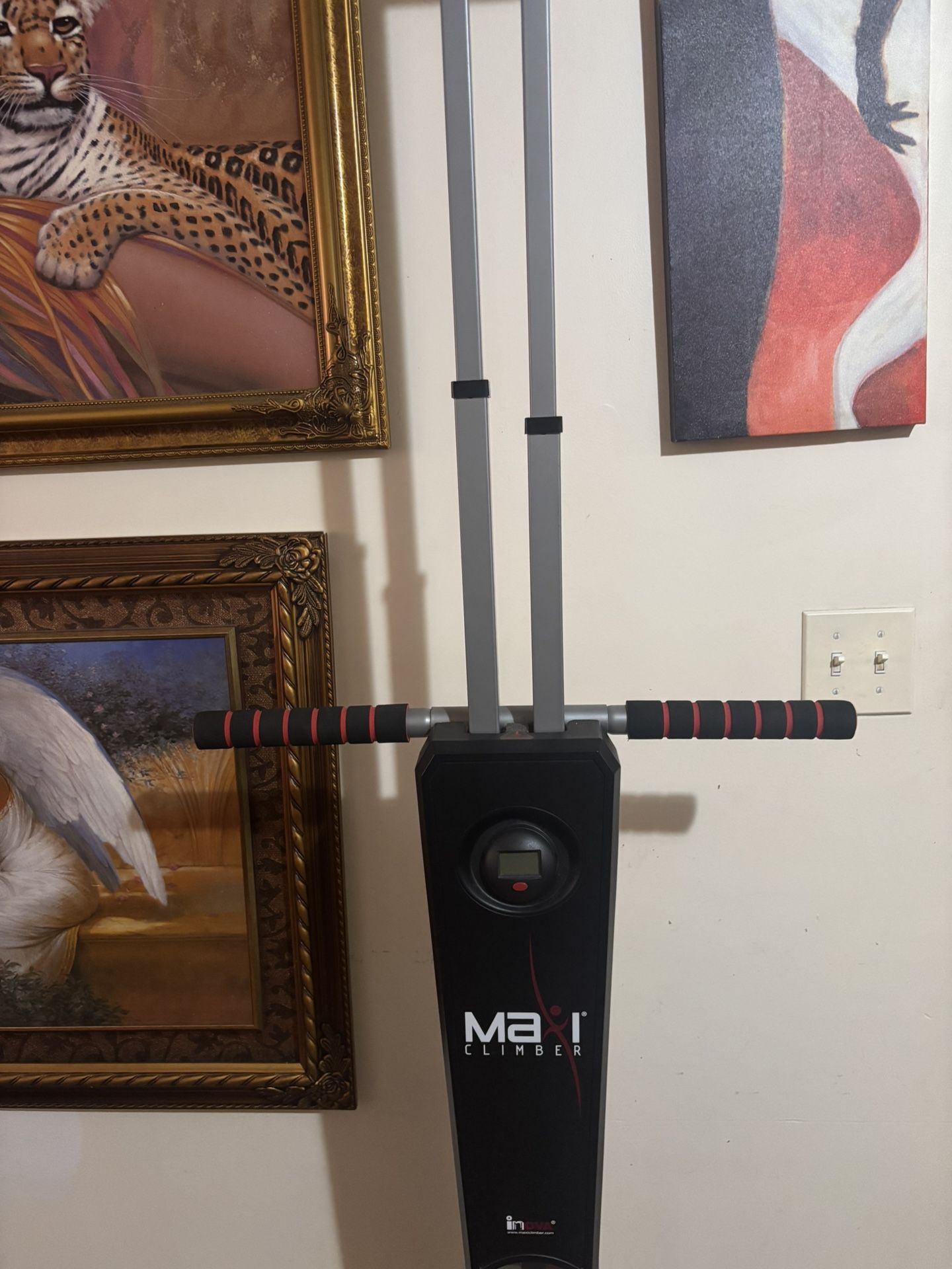 Elliptical Machine / Foldable