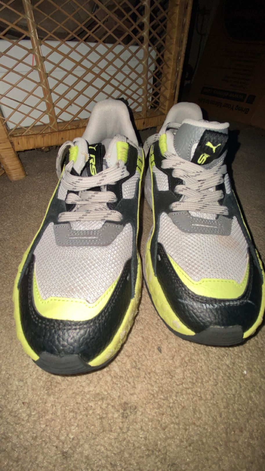 Some Grey, Black, White, And Green Pumas