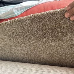 Carpet Installation 