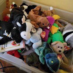 45 TY Beanie Babies Rare 