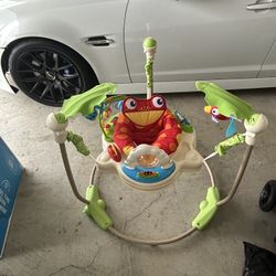 Rainforest Jumper