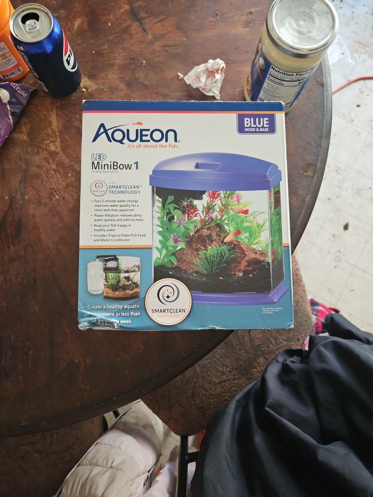Aqueous Minibow 1 Desktop Aquarium Kit