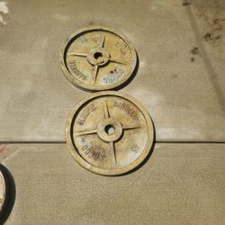 45 Pounds Olympic Size plates