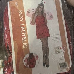 Ladybug Costume