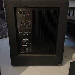 Cerwin-Vega Professional CVA-118 