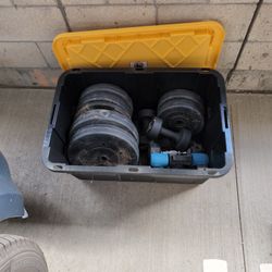 Gym Weights (Plates, Dumbbells, Barbell, Med Ball)
