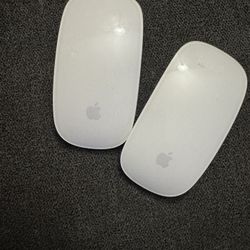 Apple Computer Mouse