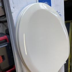 Toilet Seat Replacement 