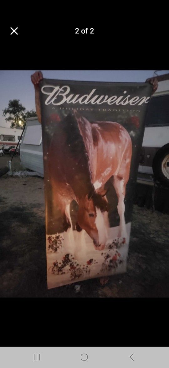 Huge Budweiser Clydesdale Horse Banner