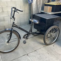 3 Wheel Bike