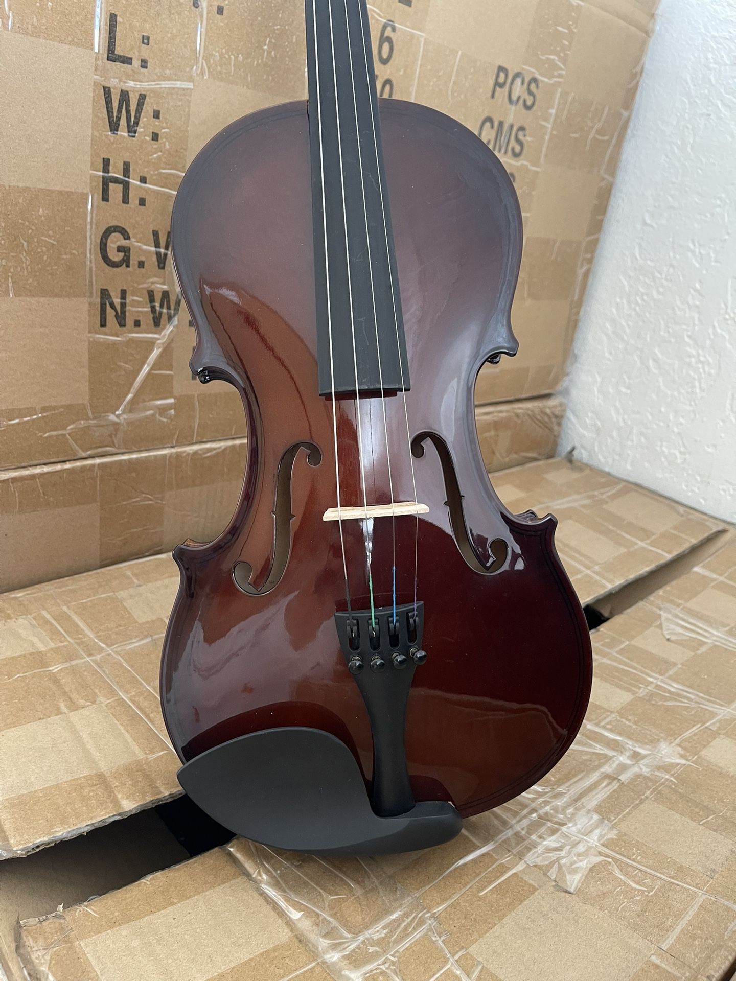 New Violin π» $60