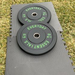 Weights/ Bumper Plates
