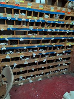 PVC fittings schedule 40