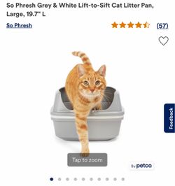 So Phresh Grey & White Lift-to-Sift Cat Litter Pan, Large, 19.7" L