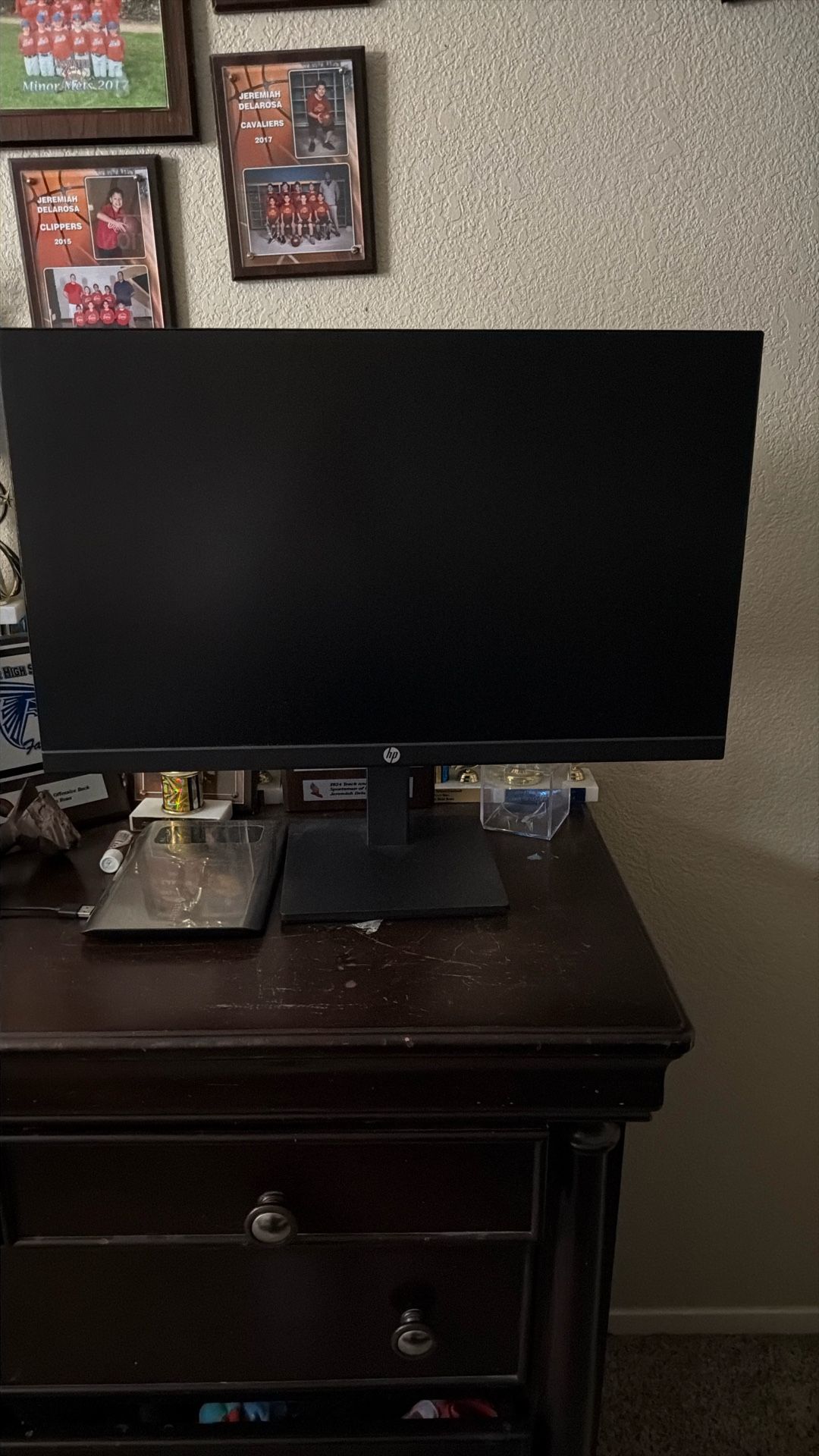 HP Monitor