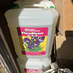 6 Gal Flora Bloom