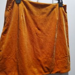 Beautiful Velvet Retro Mini Skirt