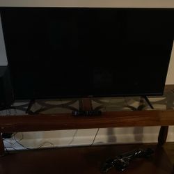 19” Vizio