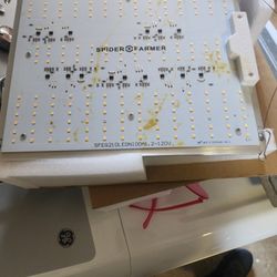Spider Farmer Sf1000 2x2 Led Grow Lights