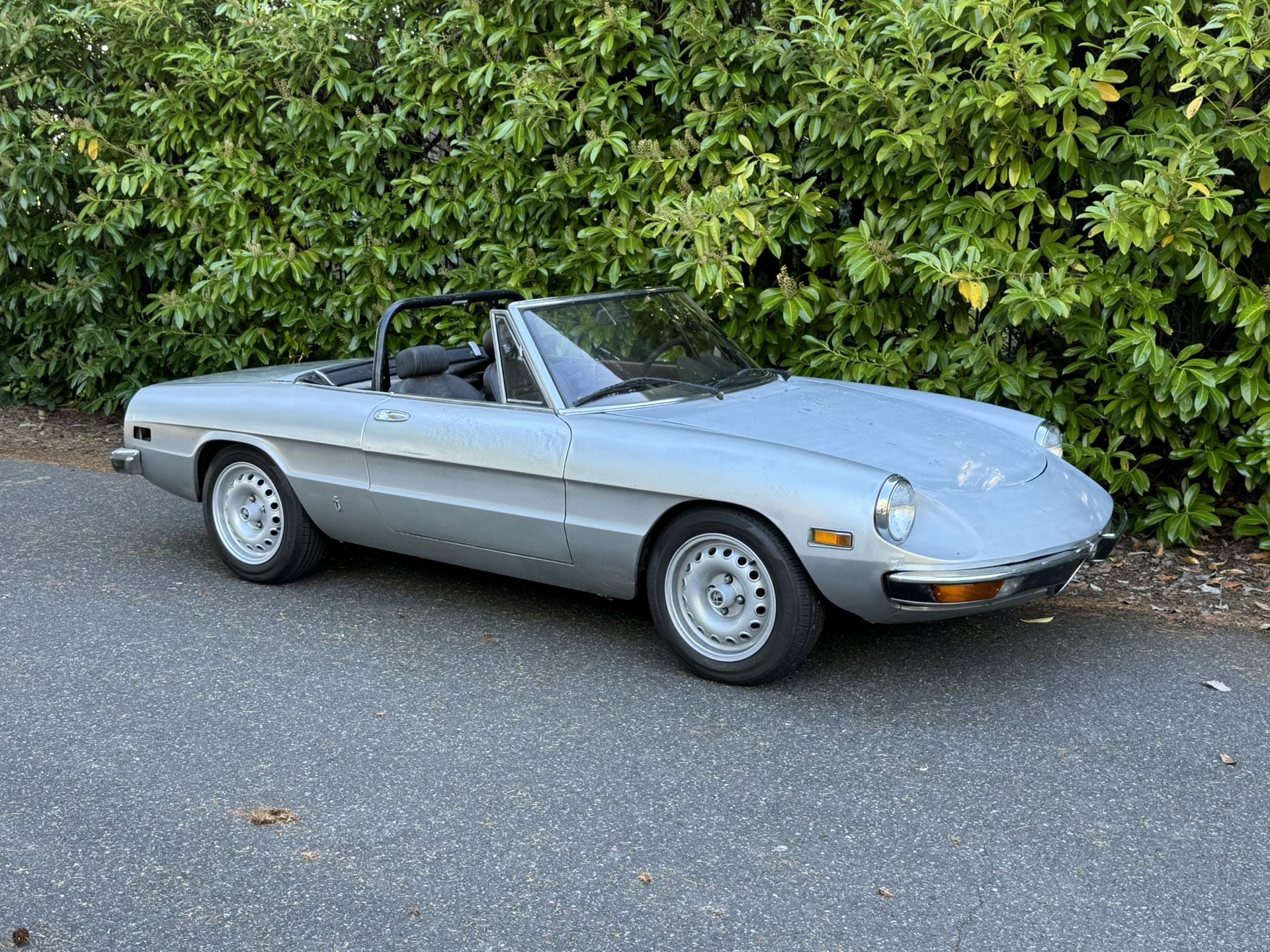 Alfa Romeo Spider Running Project