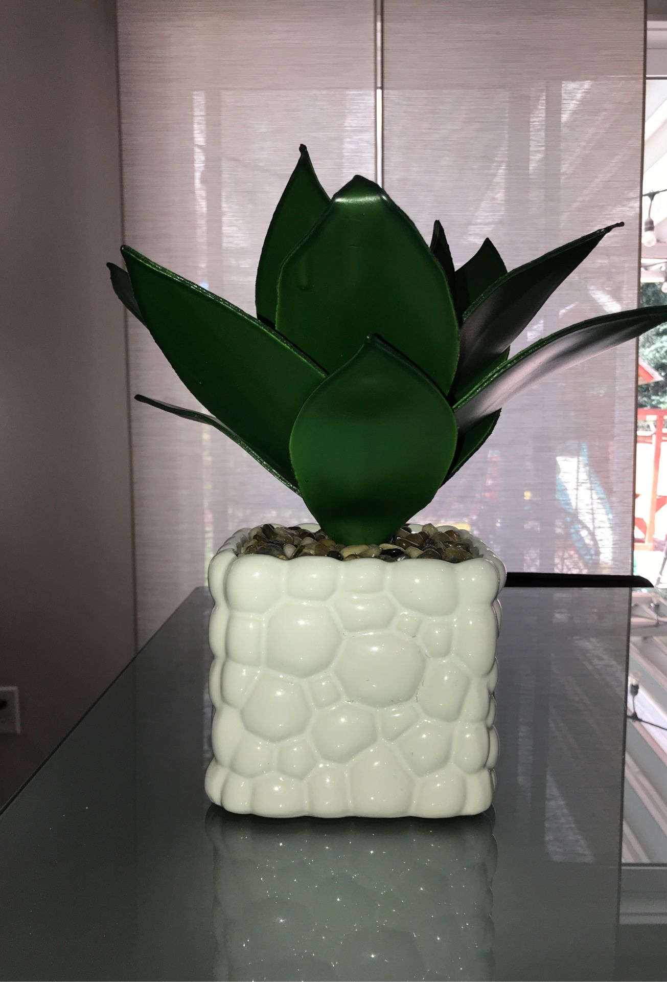 Plant