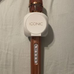 Iconic Karaoke Microphone 