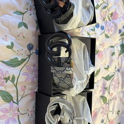 Gucci belts