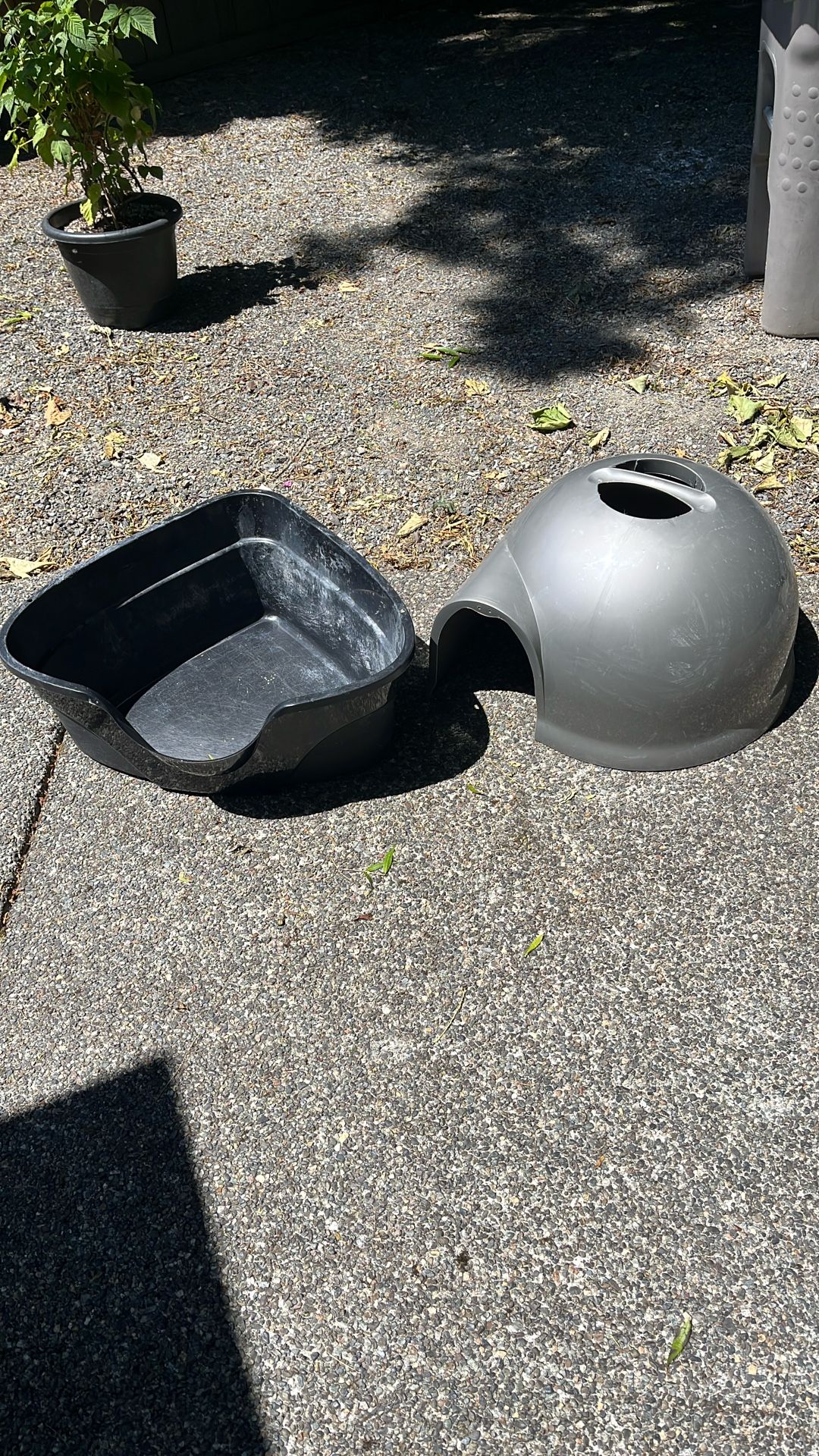 Free Cat Litter Box And Cover