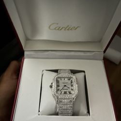 Ivory Cartier De Santos 